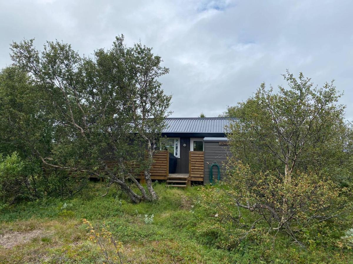 Cabin In The Lava. Near Husavik Skogar  Εξωτερικό φωτογραφία