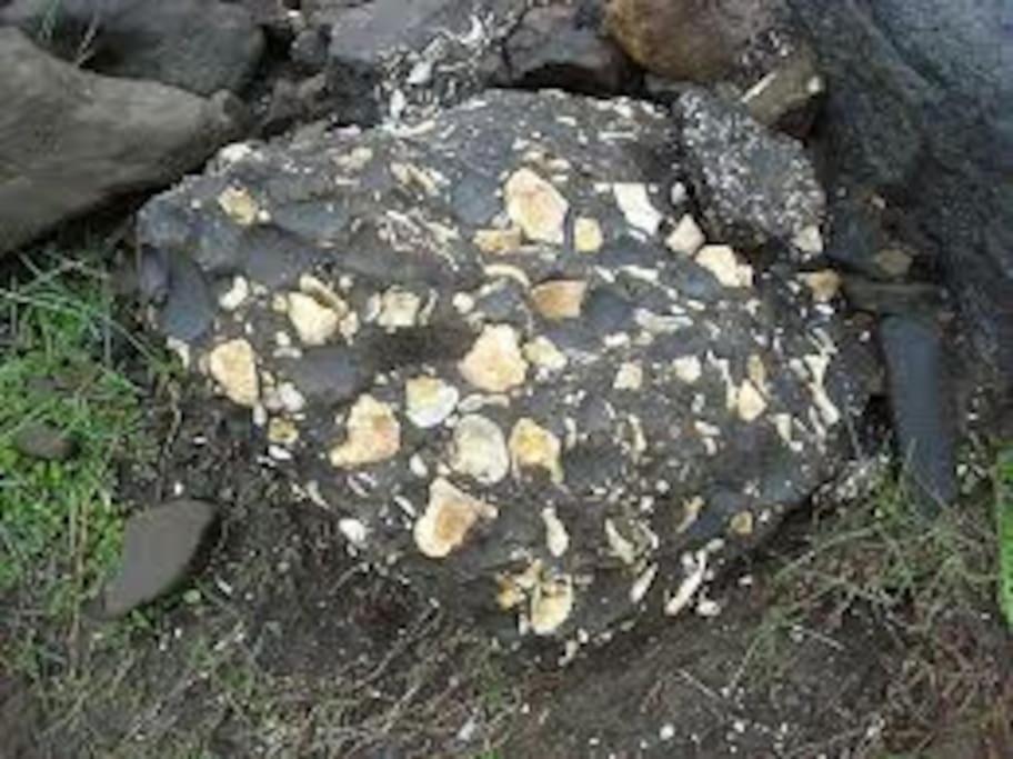 Cabin In The Lava. Near Husavik Skogar  Εξωτερικό φωτογραφία